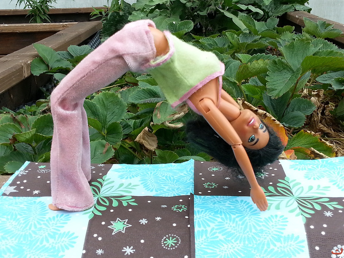 Yoga mit Barbie_5
