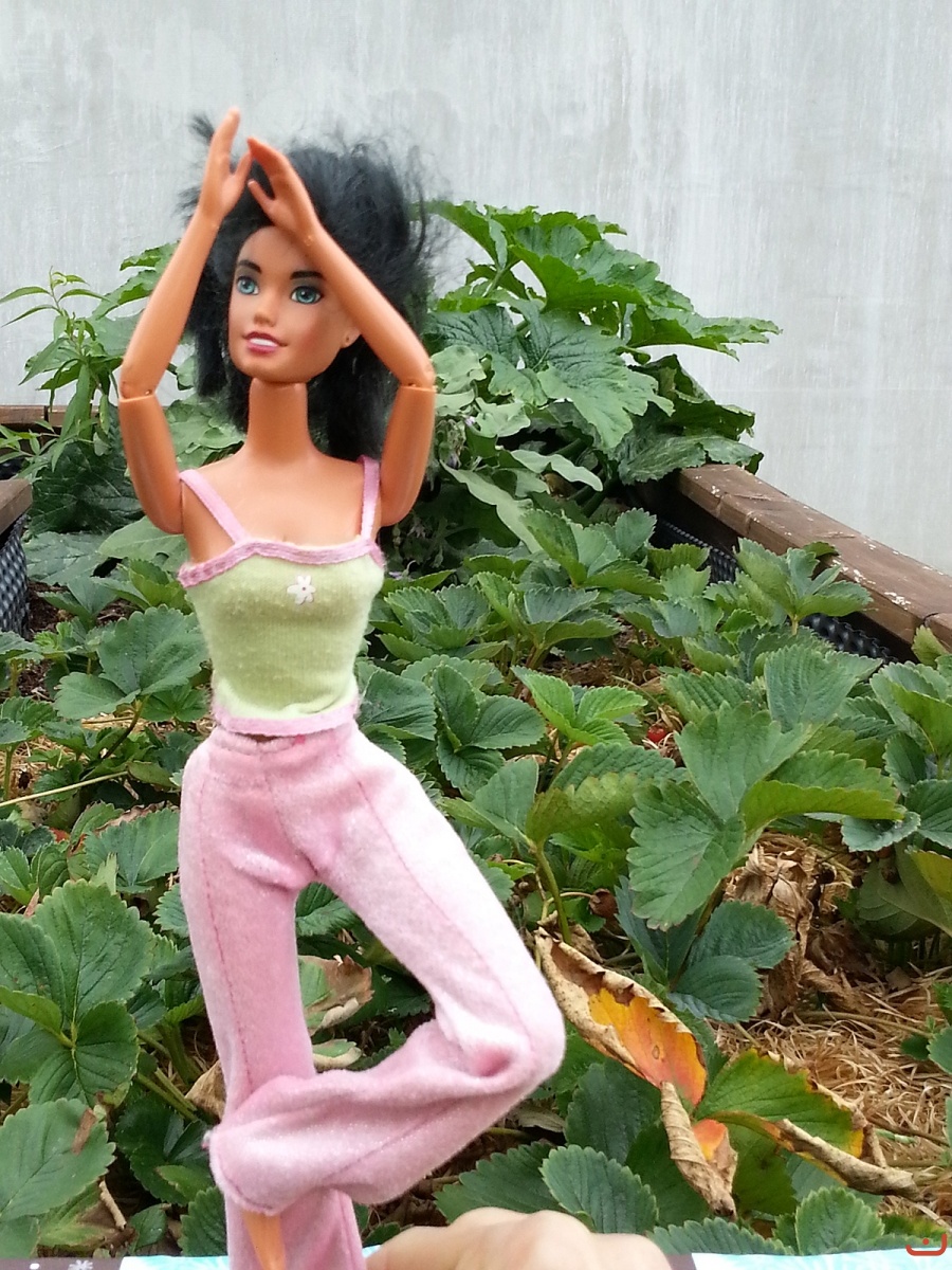Yoga mit Barbie_1